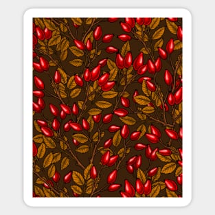 Rose hips 2 Sticker